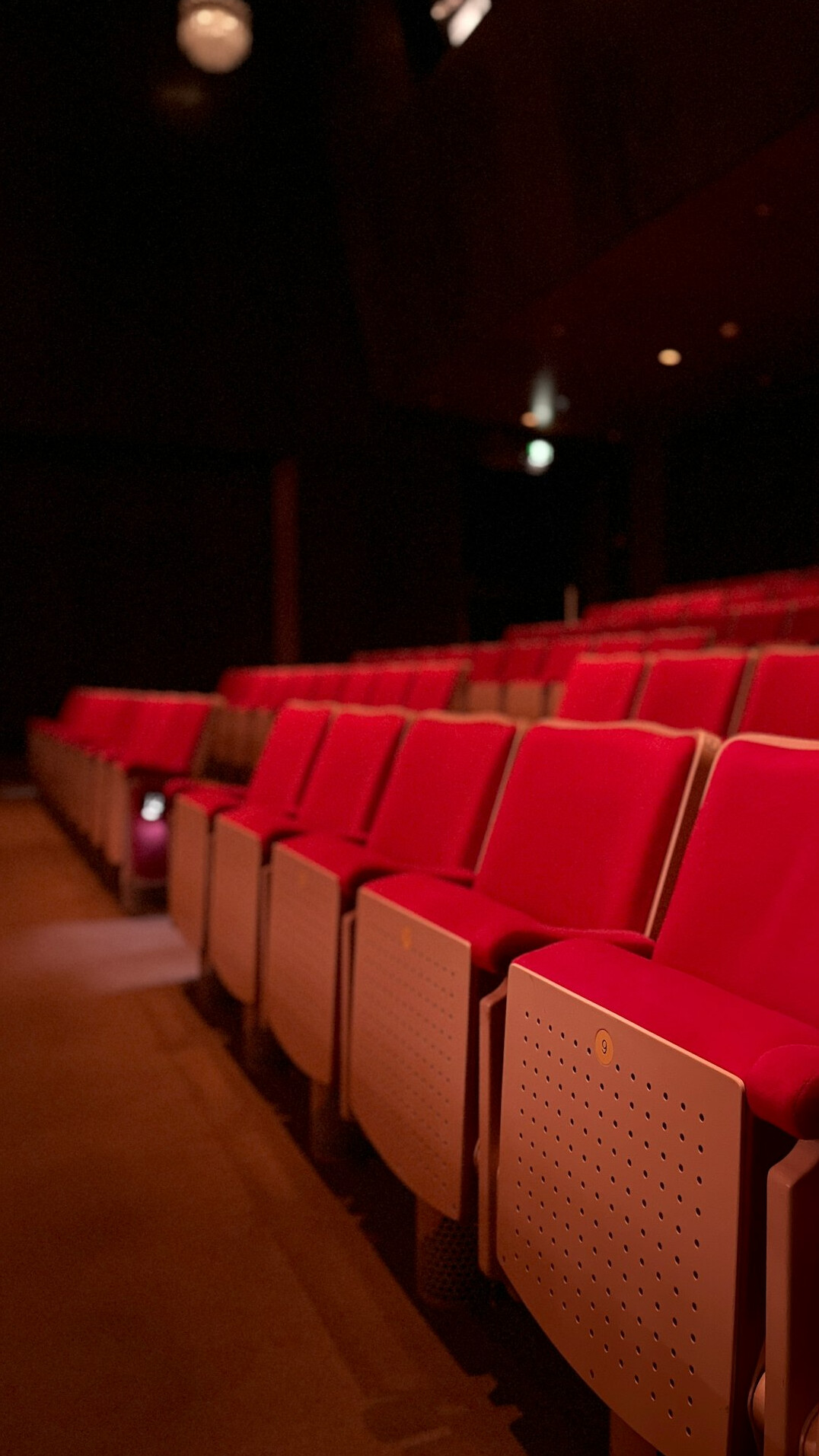 Empty theatre seats in soft ambient light